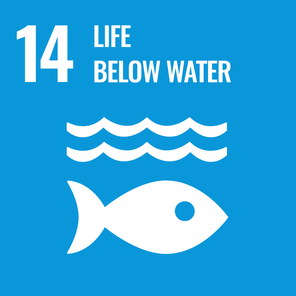 SDG 14: Conserve and sustainably use the oceans, seas and marine resources for sustainable development